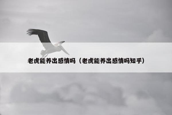 老虎能养出感情吗（老虎能养出感情吗知乎）