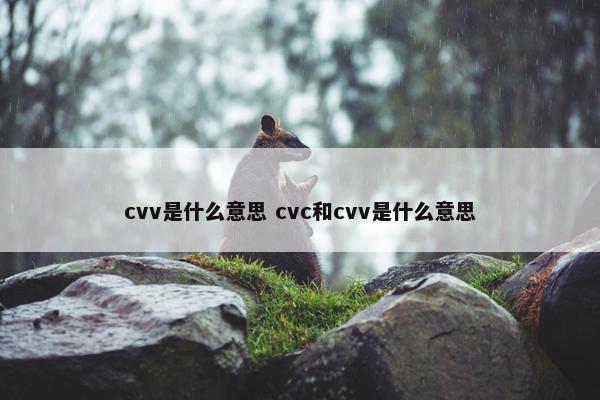 cvv是什么意思 cvc和cvv是什么意思