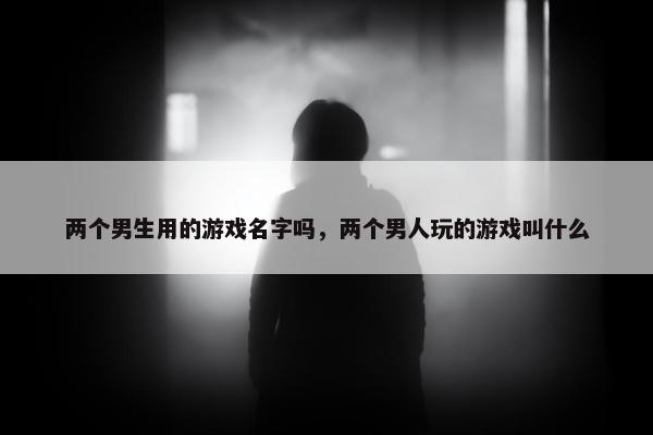 两个男生用的游戏名字吗，两个男人玩的游戏叫什么