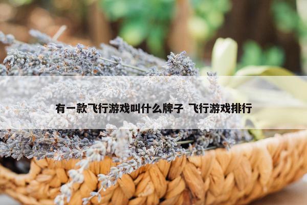 有一款飞行游戏叫什么牌子 飞行游戏排行