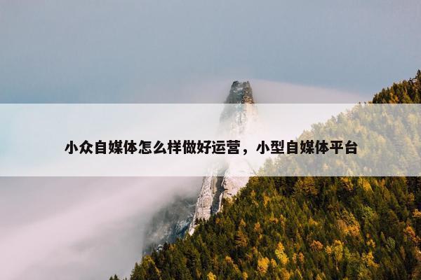 小众自媒体怎么样做好运营，小型自媒体平台