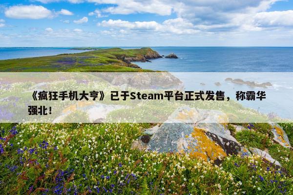 《疯狂手机大亨》已于Steam平台正式发售，称霸华强北！