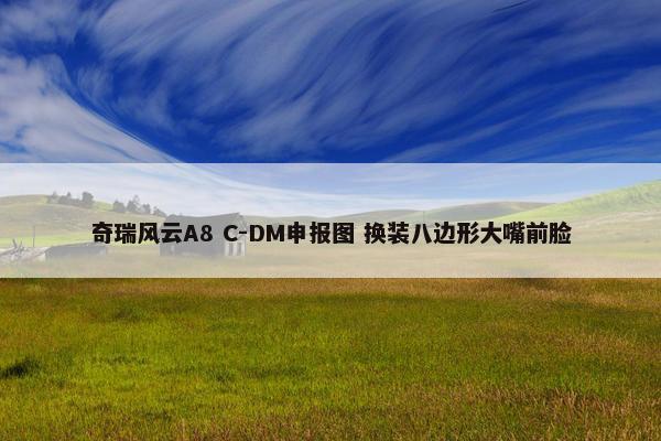 奇瑞风云A8 C-DM申报图 换装八边形大嘴前脸