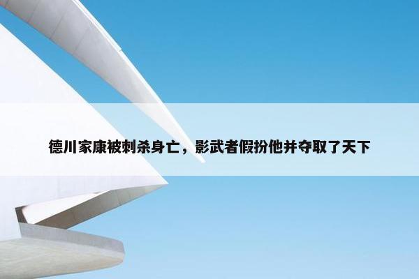 德川家康被刺杀身亡，影武者假扮他并夺取了天下