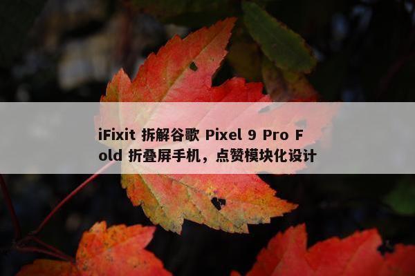 iFixit 拆解谷歌 Pixel 9 Pro Fold 折叠屏手机，点赞模块化设计