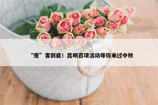 “宠”客到底！昆明百项活动等你来过中秋