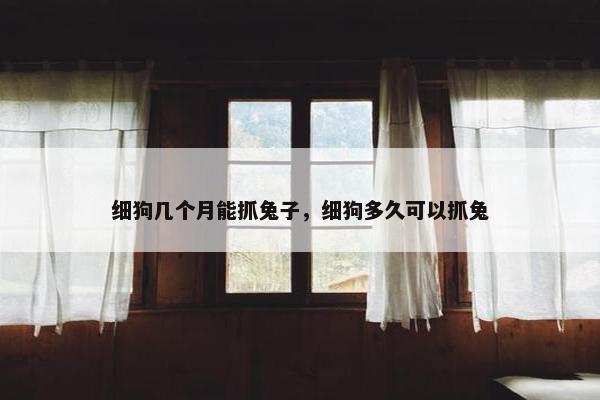 细狗几个月能抓兔子，细狗多久可以抓兔