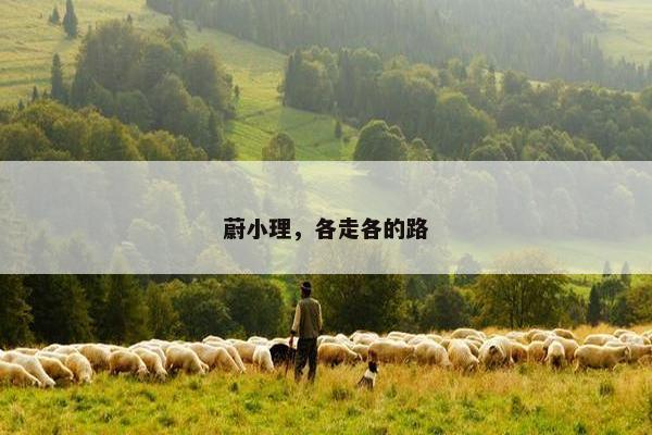 蔚小理，各走各的路