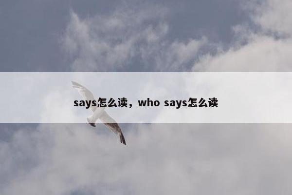 says怎么读，who says怎么读