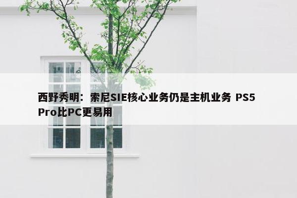 西野秀明：索尼SIE核心业务仍是主机业务 PS5 Pro比PC更易用