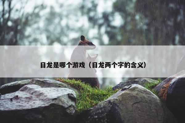 日龙是哪个游戏（日龙两个字的含义）