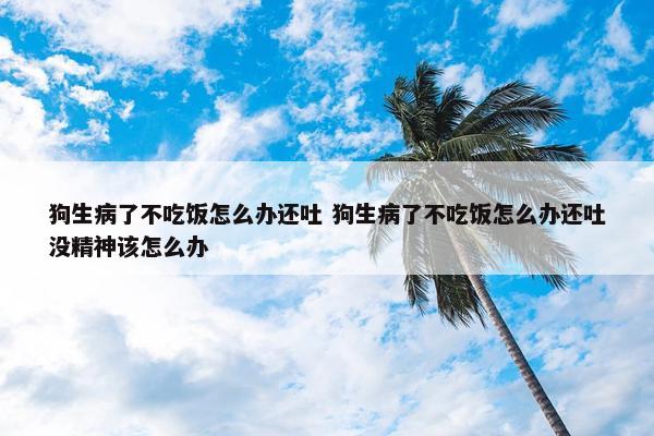 狗生病了不吃饭怎么办还吐 狗生病了不吃饭怎么办还吐没精神该怎么办