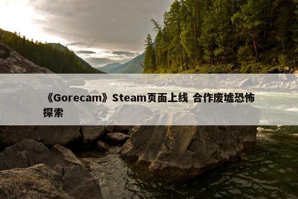 《Gorecam》Steam页面上线 合作废墟恐怖探索