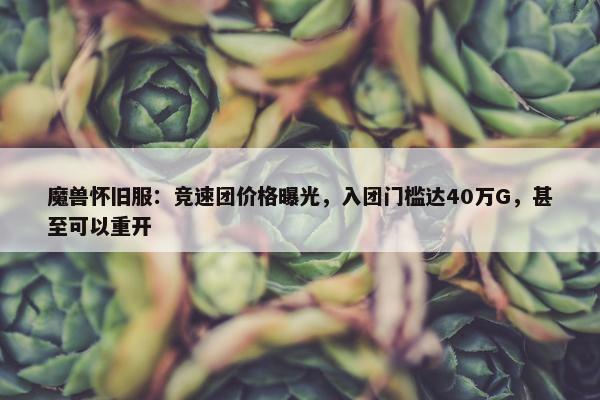 魔兽怀旧服：竞速团价格曝光，入团门槛达40万G，甚至可以重开