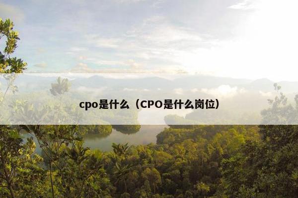 cpo是什么（CPO是什么岗位）