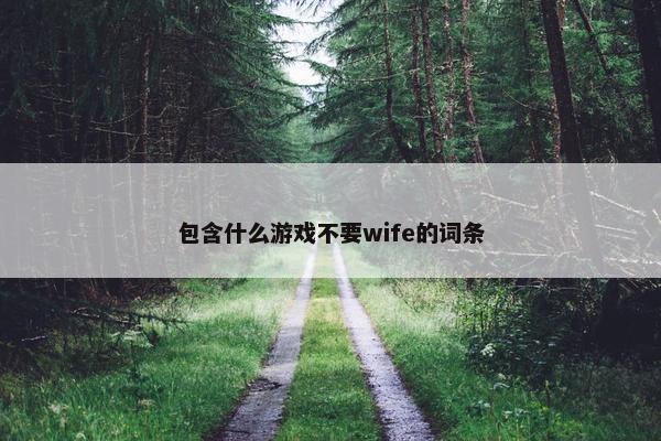 包含什么游戏不要wife的词条