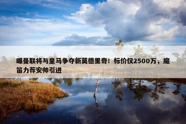 曝曼联将与皇马争夺新莫德里奇！标价仅2500万，魔笛力荐安帅引进