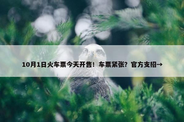 10月1日火车票今天开售！车票紧张？官方支招→