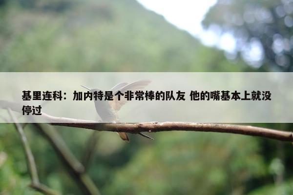 基里连科：加内特是个非常棒的队友 他的嘴基本上就没停过