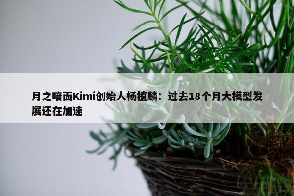 月之暗面Kimi创始人杨植麟：过去18个月大模型发展还在加速