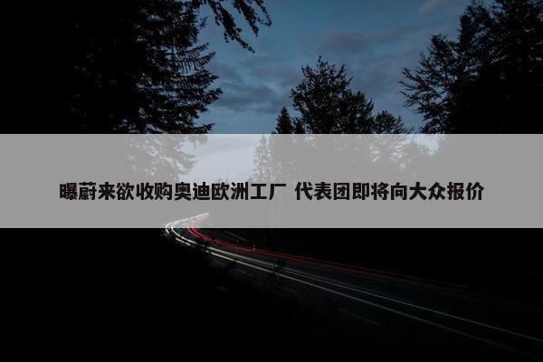 曝蔚来欲收购奥迪欧洲工厂 代表团即将向大众报价