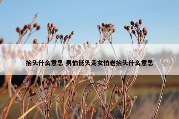 抬头什么意思 男怕低头走女怕老抬头什么意思