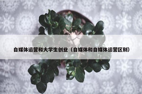 自媒体运营和大学生创业（自媒体和自媒体运营区别）