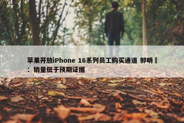 苹果开放iPhone 16系列员工购买通道 郭明錤：销量低于预期证据