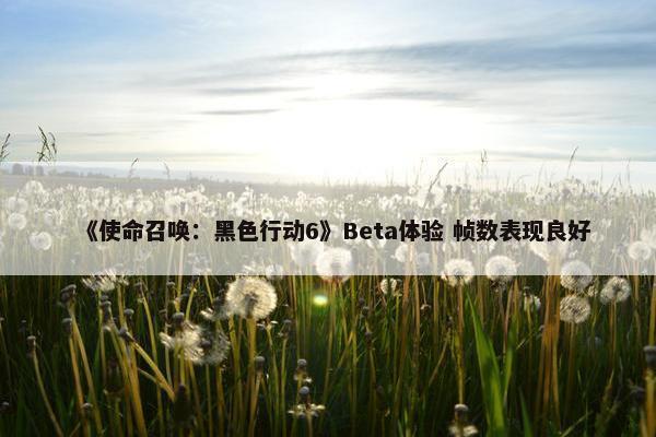 《使命召唤：黑色行动6》Beta体验 帧数表现良好