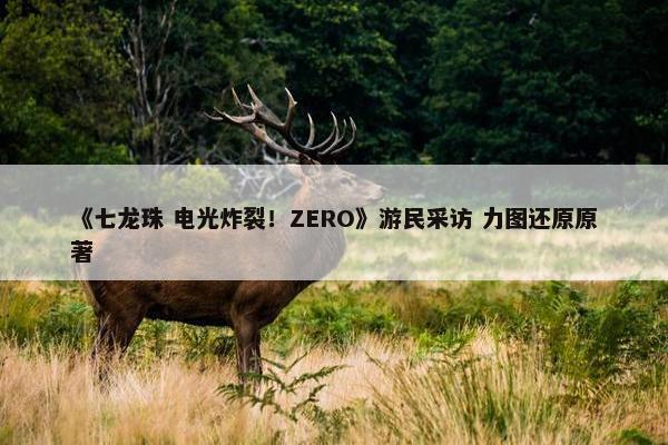 《七龙珠 电光炸裂！ZERO》游民采访 力图还原原著