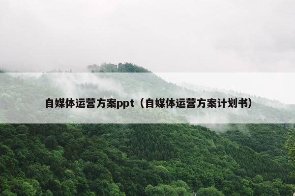 自媒体运营方案ppt（自媒体运营方案计划书）