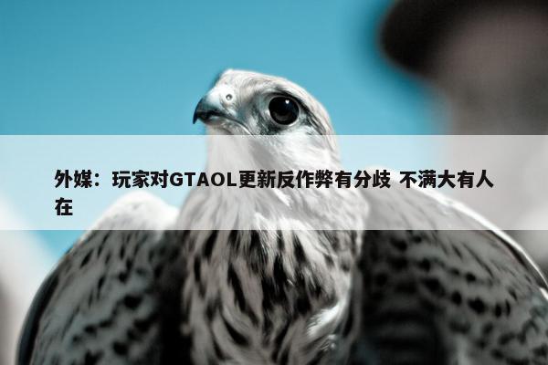 外媒：玩家对GTAOL更新反作弊有分歧 不满大有人在