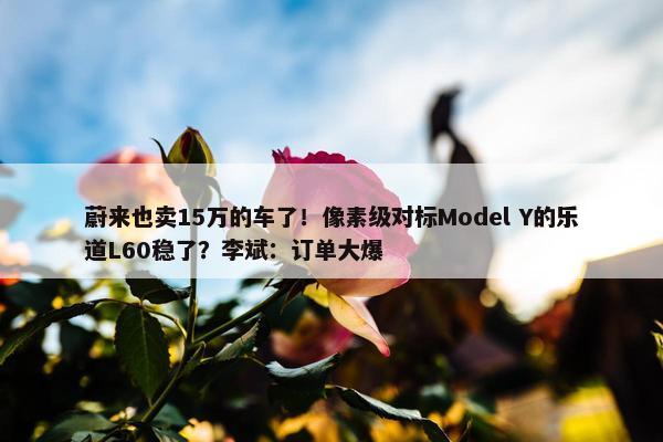 蔚来也卖15万的车了！像素级对标Model Y的乐道L60稳了？李斌：订单大爆