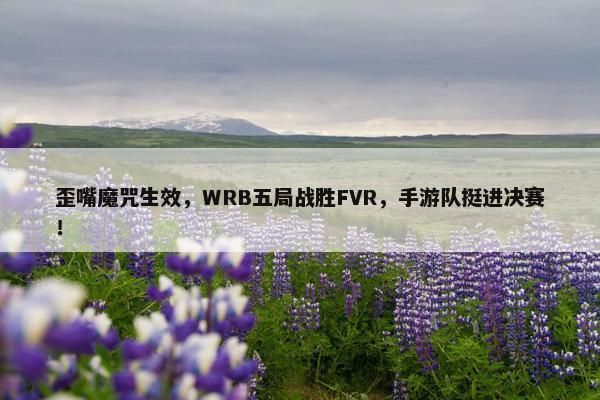 歪嘴魔咒生效，WRB五局战胜FVR，手游队挺进决赛！