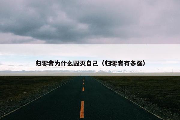 归零者为什么毁灭自己（归零者有多强）