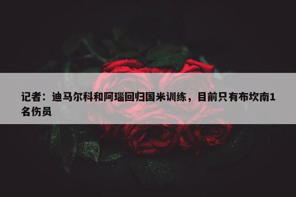 记者：迪马尔科和阿瑙回归国米训练，目前只有布坎南1名伤员