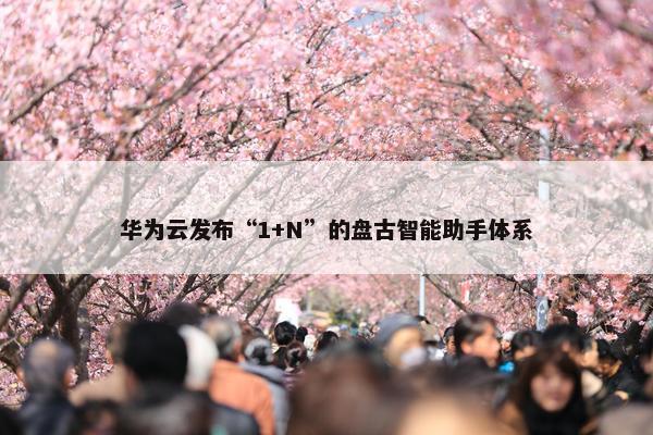 华为云发布“1+N”的盘古智能助手体系