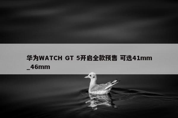 华为WATCH GT 5开启全款预售 可选41mm_46mm