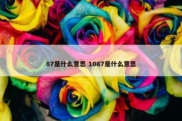 87是什么意思 1087是什么意思