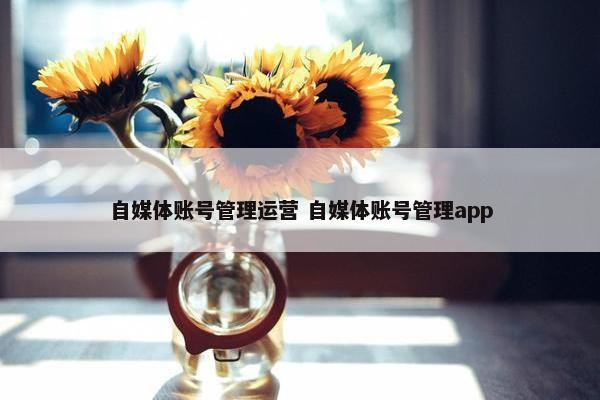 自媒体账号管理运营 自媒体账号管理app