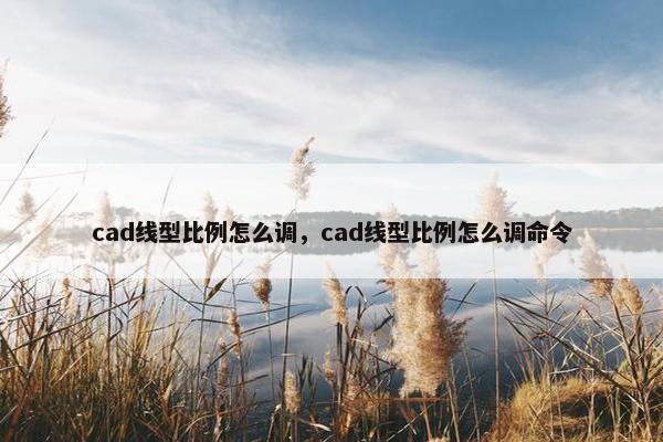 cad线型比例怎么调，cad线型比例怎么调命令