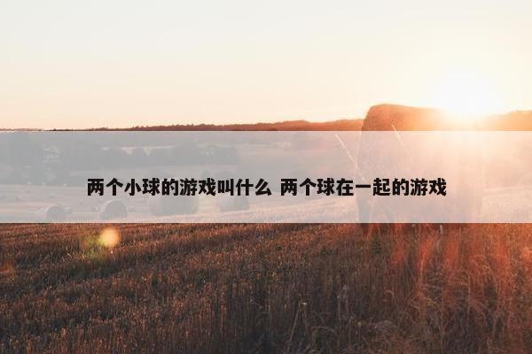 两个小球的游戏叫什么 两个球在一起的游戏