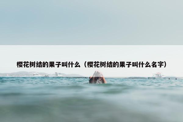 樱花树结的果子叫什么（樱花树结的果子叫什么名字）