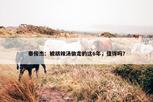 秦俊杰：被胡辣汤偷走的这6年，值得吗？