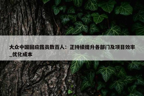 大众中国回应裁员数百人：正持续提升各部门及项目效率_优化成本