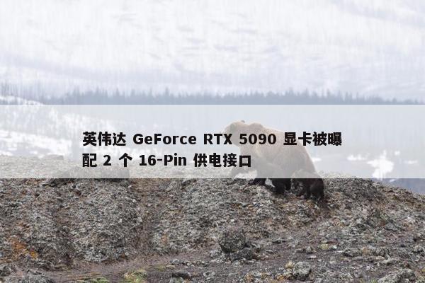 英伟达 GeForce RTX 5090 显卡被曝配 2 个 16-Pin 供电接口