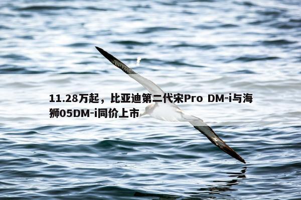 11.28万起，比亚迪第二代宋Pro DM-i与海狮05DM-i同价上市