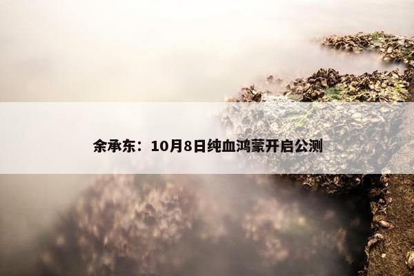 余承东：10月8日纯血鸿蒙开启公测