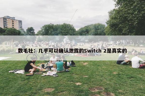 数毛社：几乎可以确认泄露的Switch 2是真实的