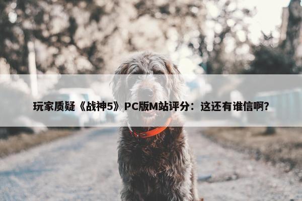 玩家质疑《战神5》PC版M站评分：这还有谁信啊？